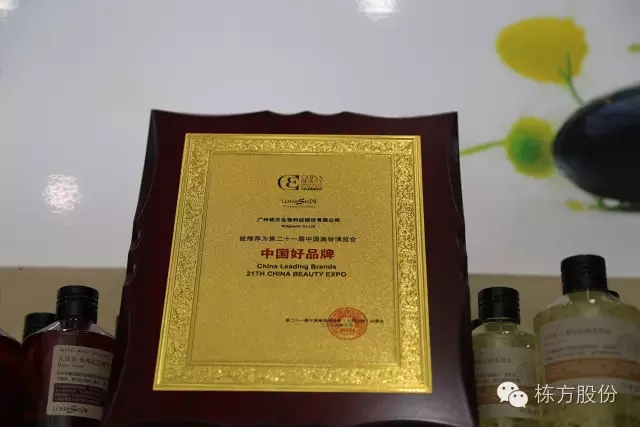 科技引領(lǐng)美麗▏棟方股份榮獲“中國好品牌獎”！