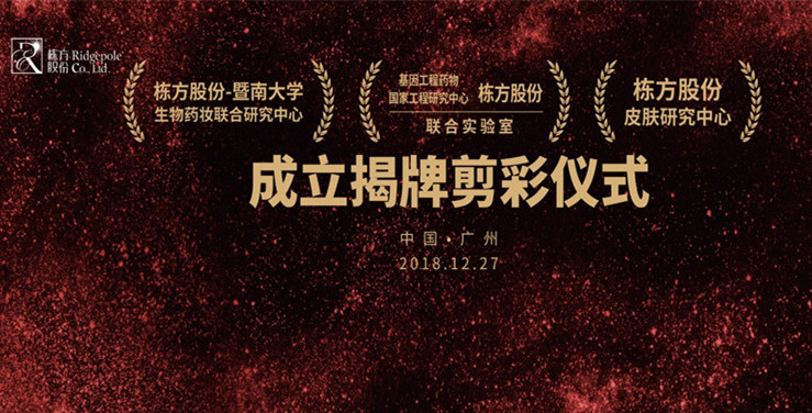 特別報(bào)道丨棟方股份技術(shù)發(fā)展迎來新里程碑